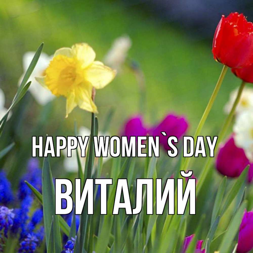 Greetings card с именем, Виталий happy women`s day международный женский день 3 Greetings with text for free download 